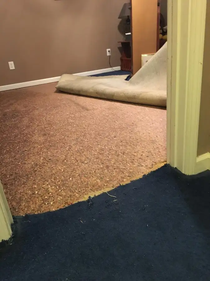 Carpet pad removal revealing water damage during Drying & Dehumidification in Fort Mohave