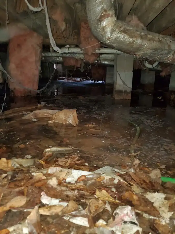 Crawl space flood assessment for Leak Detection & Repair in Fort Mohave